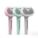 Electric Steam Brush Supplier - USB Rechargeable 3 in 1 Vapor Comb