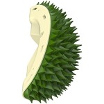 Cat Self Groomer Supplier - Face Scratcher Wall Corner Massage Comb