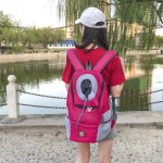 宠物狗携带箱厂家-双肩便携背包