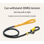 狗训练牵引绳供应商-耐用防拉尼龙绳