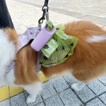 宠物废物袋分配器供应商-BPA免费硅胶防水