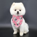 Dog Scarf Bandana Manufacturer - Wholesale Custom Printed Multiple