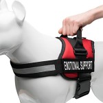 狗背心工厂-定制logo防爆冲反光透气