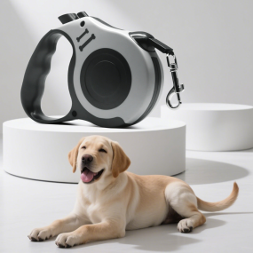 Dog Walking Rope Supplier - Large Outdoor Retractable Padded PVC