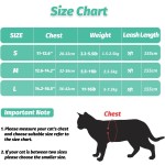 猫背带供应商-S网红色兔子小动物