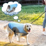 狗降温背心工厂-可调紫外线衬衫户外训练