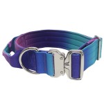 战术狗牵引绳供应商-豪华渐变幻想色彩