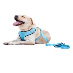 宠物背带套装供应商-加垫升华印花豪华