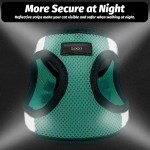 宠物背带工厂-定制设计师豪华可调加垫