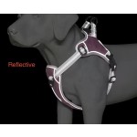 狗胸背带工厂-可调反光涤纶尼龙