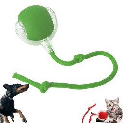 自动猫玩具供应商-USB充电动力滚球