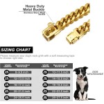 狗项圈套装工厂-豪华金色不锈钢链条