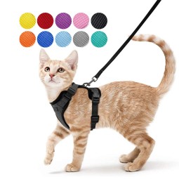 猫背心背带供应商-旅行可调铁丝网防逃