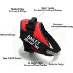 狗背心工厂-定制logo防爆冲反光透气