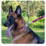 狗牵引绳工厂-纯色图案棉麻软抽绳