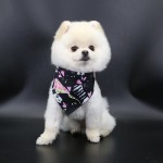 Dog Scarf Bandana Manufacturer - Wholesale Custom Printed Multiple
