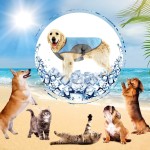 狗降温背心工厂-可调紫外线衬衫户外训练