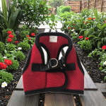 狗背带套装供应商-防爆冲可调舒适定制