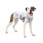 狗降温背心供应商-豪华可调透气网眼