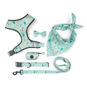 Pet Harness Set Supplier - Padded Sublimation Print Luxury