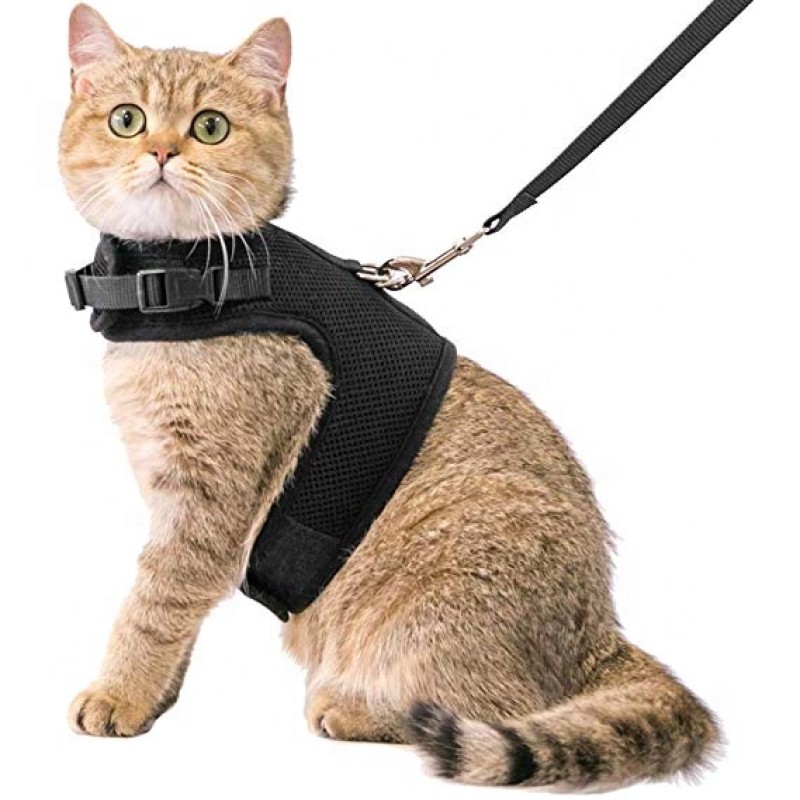 Cat Harness Supplier - Black Air Mesh Adjustable with Leash