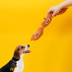 狗咬胶玩具供应商-批发定制logo食物设计