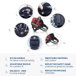 狗背心工厂-定制logo防爆冲反光透气