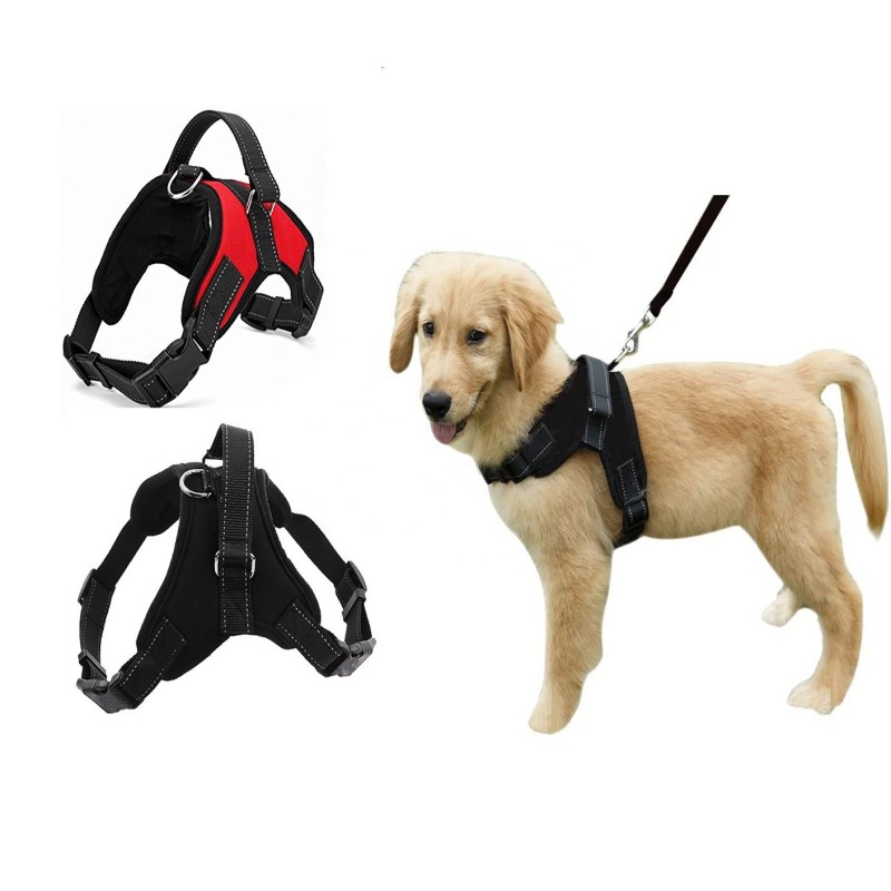 Dog Harness Factory - Hot Sale No Pull Reflective Handle
