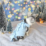 猫手术服工厂-透气生理断奶防舔