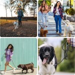 狗牵引绳厂家-反光尼龙重绳条纹