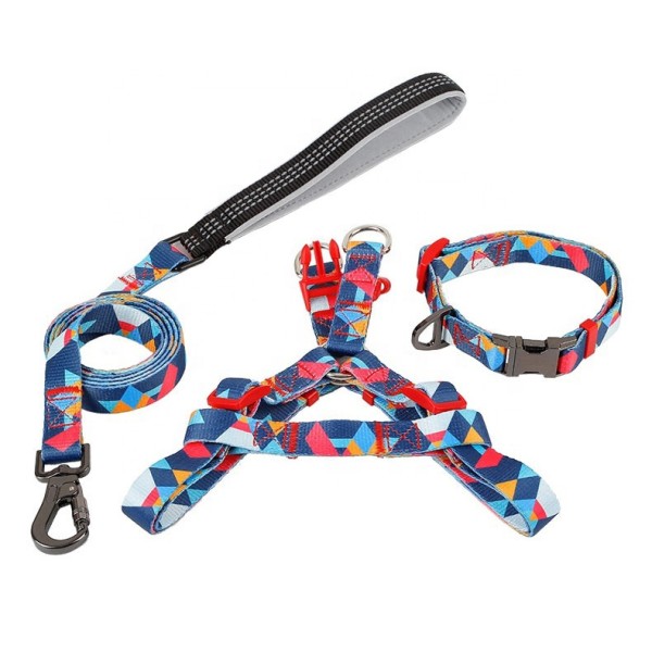 狗项圈套装厂家-豪华定制训练牵引绳