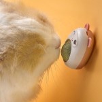 猫薄荷球工厂-健康去除毛球消化