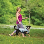 狗降温背心供应商-豪华可调透气网眼