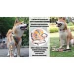 狗背带套装厂家-代工定制防爆冲可调