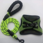 狗背带套装供应商-纯色图案反光牵引绳个性化