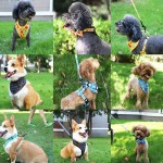 Dog Accessories Supplier - Custom Pattern Luxury Adjustable Polyester