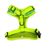 Dog Collar Set Factory - Adjustable Leash Lightweight Breathable Custom