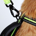 Leather Dog Collar Manufacturer - Breathable Fully Adjustable Customized