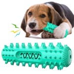 Dog Toothbrush Manufacturer - Eco-Friendly Voice-Producing Grinding Stick