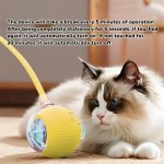 Automatic Cat Ball Factory - Rechargeable Rolling Ball Tail Intelligent Mouse