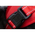 Dog Leash Set Manufacturer - Front Clip Security Led Collar Premium Nylon