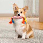 Dog Rope Toy Manufacturer - Interactive Knot Candy Design Teeth Cleaning