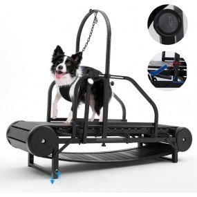 Dog Treadmill Manufacturer - Adjustable Height Pedometer Brake Metal
