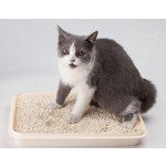 Pet Cat Litter Supplier - Wholesale Supplies Premium Crushed Tofu Litter
