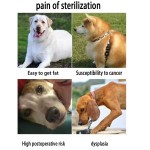 Dog Sex Toy Supplier - Realistic Soft Fur Silicone Vibrating Sound Companion