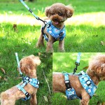 Pet Harness Set Supplier - Guangzhou Factory Personalized Adjustable