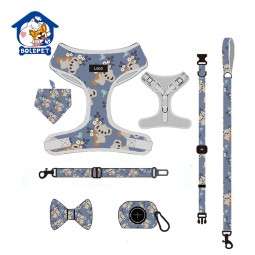 Pet Harness Set Supplier - Guangzhou Factory Personalized Adjustable