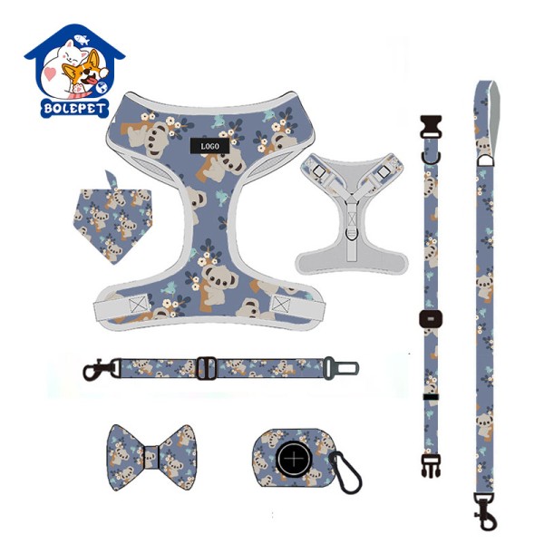 Pet Harness Set Supplier - Guangzhou Factory Personalized Adjustable