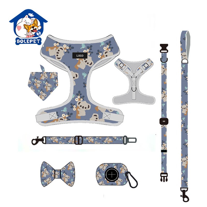 Pet Harness Set Supplier - Guangzhou Factory Personalized Adjustable