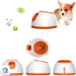 Automatic Dog Launcher Manufacturer - Good Price Fetch Machine Ball Launcher